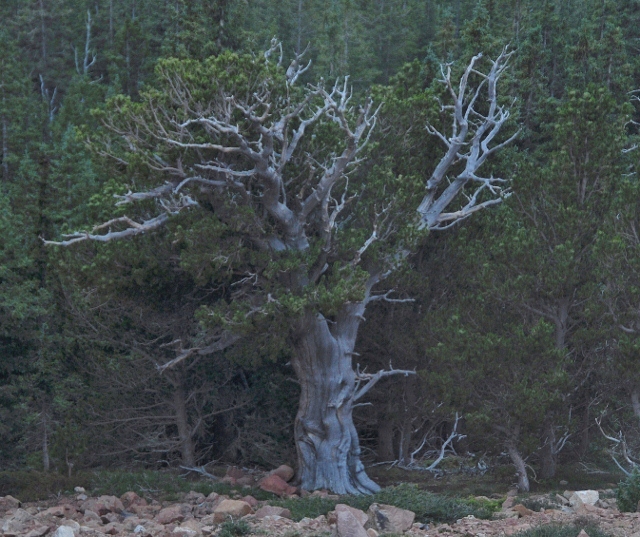 along the route